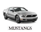 mustangs.gif